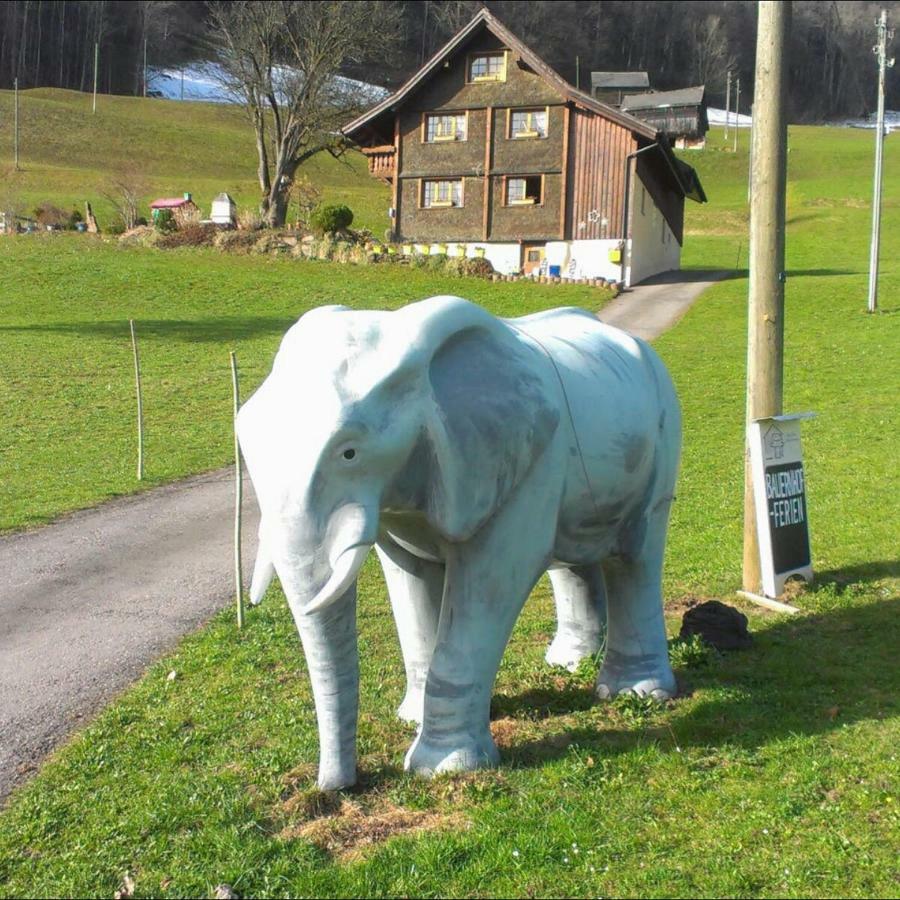 Bellahof Leilighet Flumserberg Eksteriør bilde
